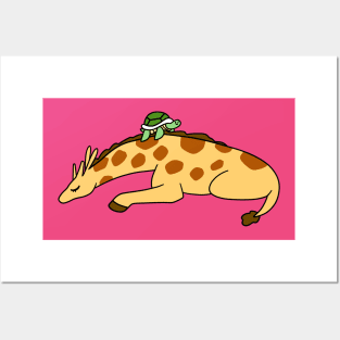 Sleepy Giraffe Turtle Posters and Art